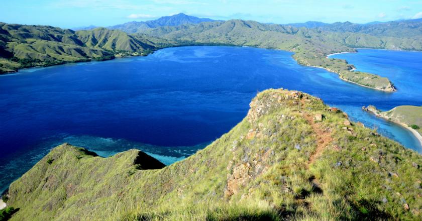 Bukan Bali, Tapi 3 Kota di Indonesia Ini yang Banyak Dicari Orang lewat 'Google Search'