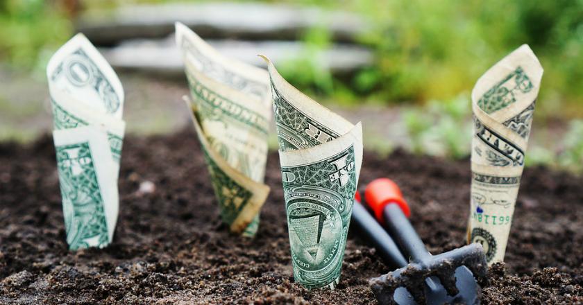 Buat yang Ngaku Pengusaha, Anda 'Ditantang' Tukar Dolar Nih! Berani?