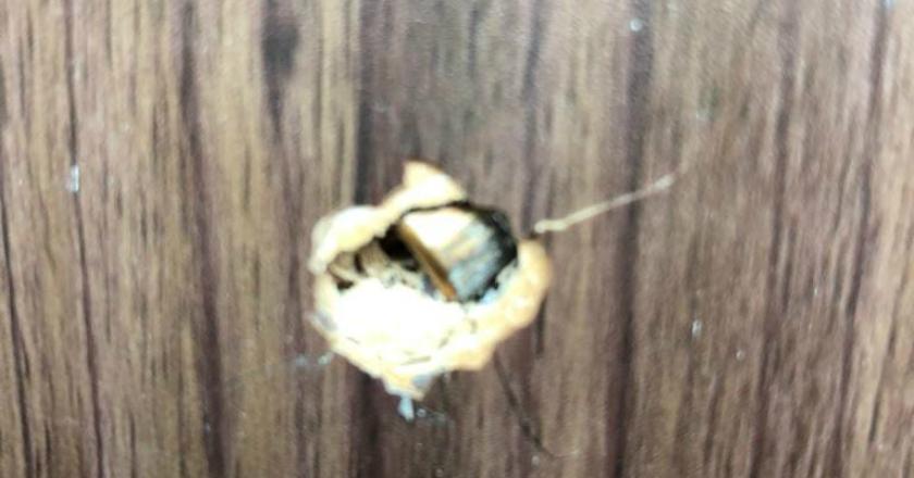 Ada Temuan Bekas Tembakan di Gedung DPR, Ini Kata Polisi