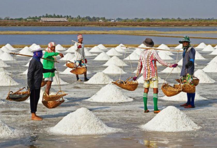 Kejagung Periksa 3 Direktur dan Seorang Kabag Perusahaan Swasta Terkait Kasus Impor Garam