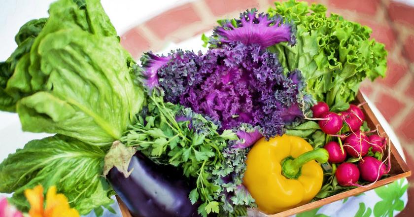 Rajin Mengonsumsi Makanan Organik Tak Kurangi Risiko Terkena Kanker?