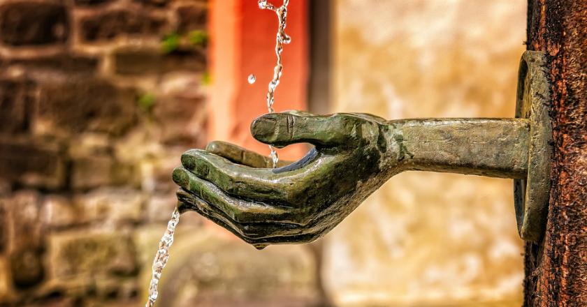 Ini Dia Tumbuhan yang Bisa Jadi Hand Sanitizer Alami