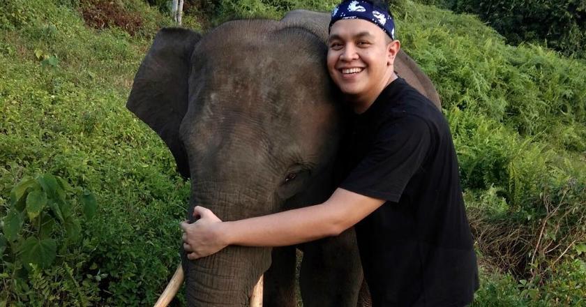 Bersama 'Teman Gajah', Tulus Belikan Kalung untuk Para Gajah
