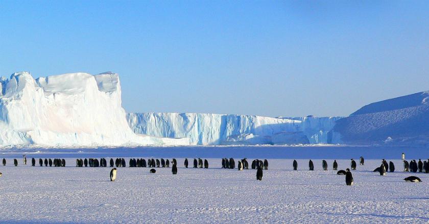 Antartika Terbuka Bagi Semua Negara untuk Studi Ilmiah