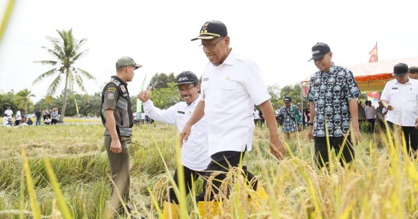 RAISA yang Satu Ini Terbukti Sukses Buat Petani Sumringah