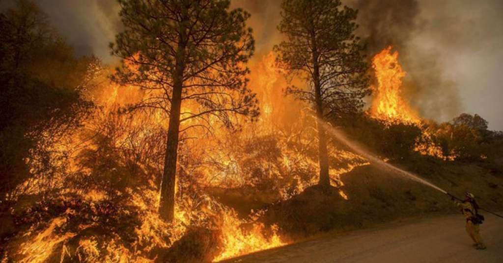 Ada 1.000 Orang Dilaporkan Hilang dalam Tragedi Kebakaran California