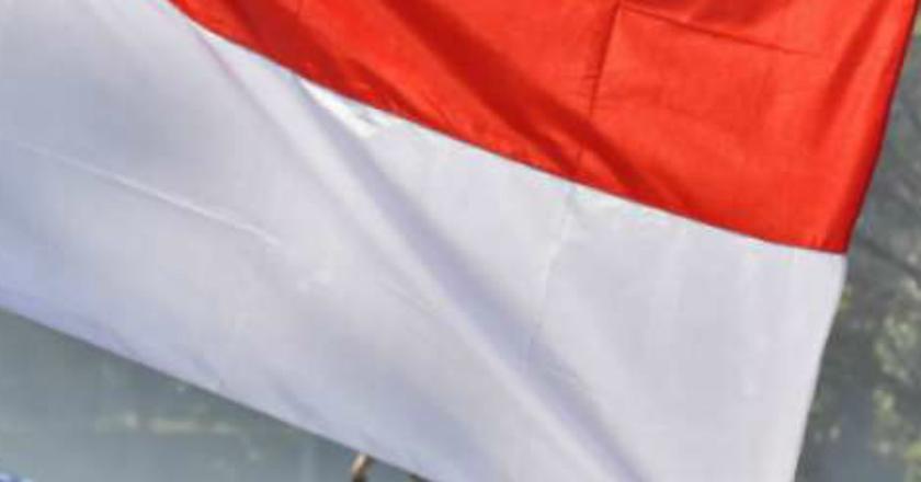 Pantau Story: Jeritan Hati Veteran 45 yang Diperjuangkan Bung Karno