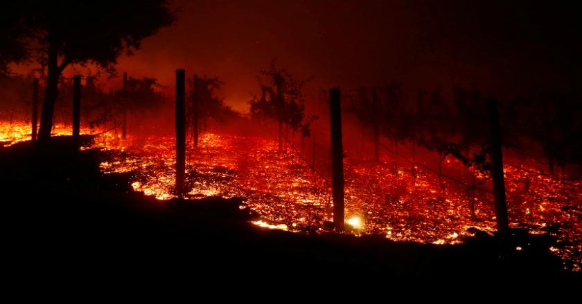 Polusi di California Lampaui Standar WHO, Meningkat 60 Kali Usai Kebakaran