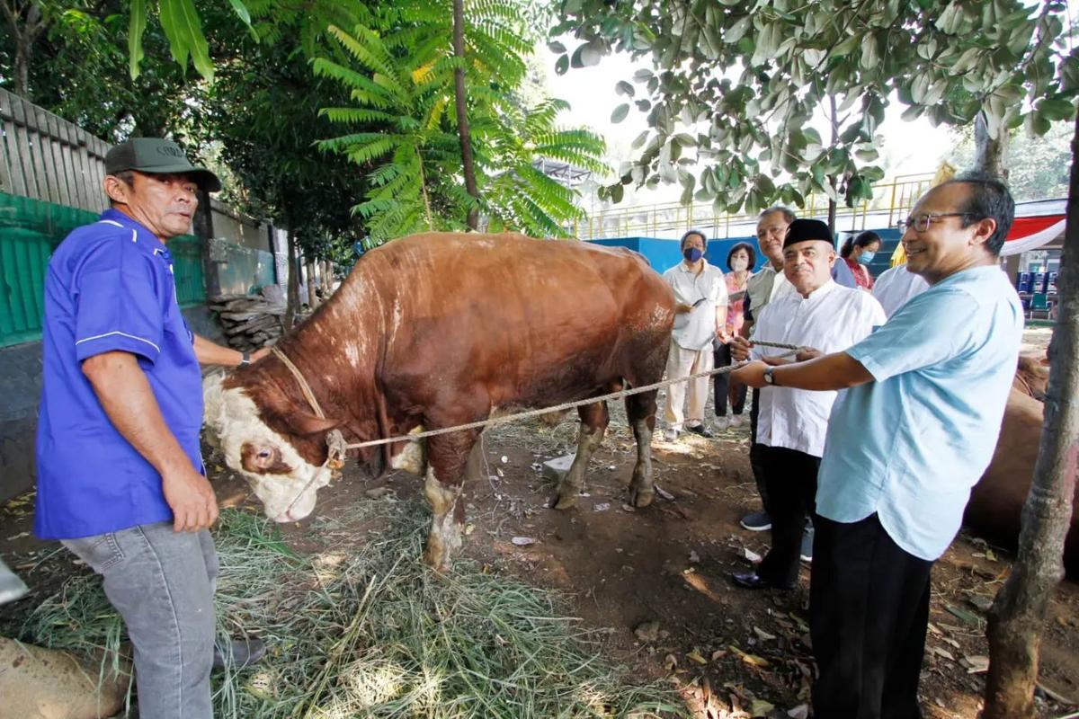 Gereja Katedral Jakarta Sumbang Sapi Kurban ke Masjid Istiqlal