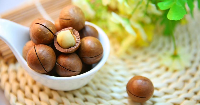 Turunkan Berat Badan dengan Protein Nabati, Emang Bisa?