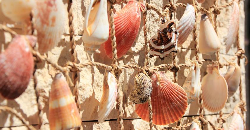 Cerita Pengusaha Dapat Ratusan Juta dari Cangkang Kerang