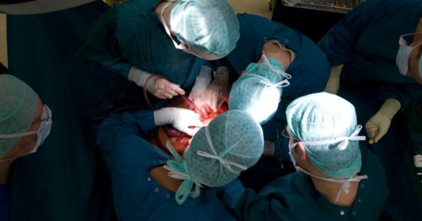 Marak Perdagangan Organ Tubuh Ilegal, Pemerintah Australia Wajib Turun Tangan