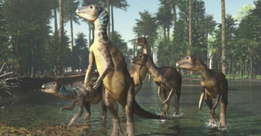 Spesies Baru Dinosaurus Prasejarah Ditemukan di Australia