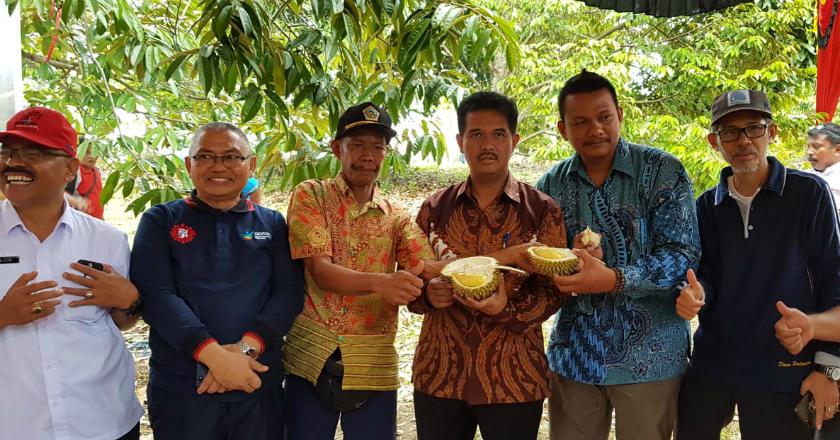 Penggemar Durian, Kementan-Pemprov Sumbar Gelar Festival Durian