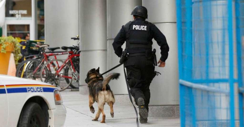 Anjing Polisi Ini Menjadi Viral di Dunia Maya, Gegara Sepatu Boot!