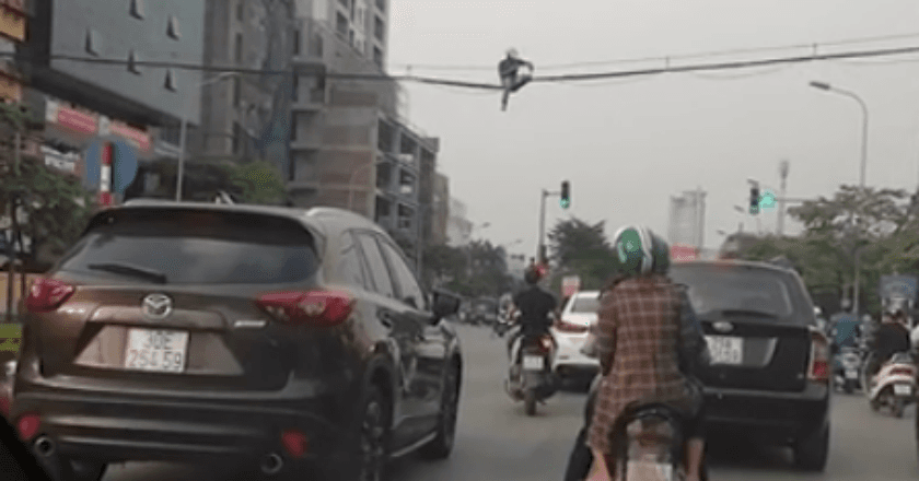 Ada-ada Saja! Frustasi Jam Sibuk, Pria Ini Nyebrang Lewat Tiang Listrik