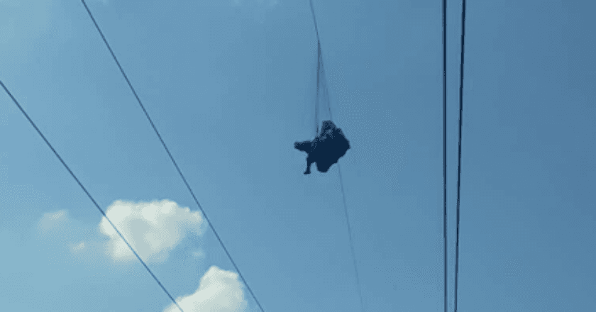 Parasut Kusut, Paraglider Venezuela Selamat Berkat Kabel Listrik