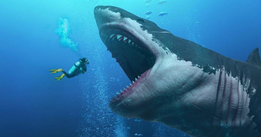 Peneliti: Supernova Penyebab Hiu Megalodon Punah