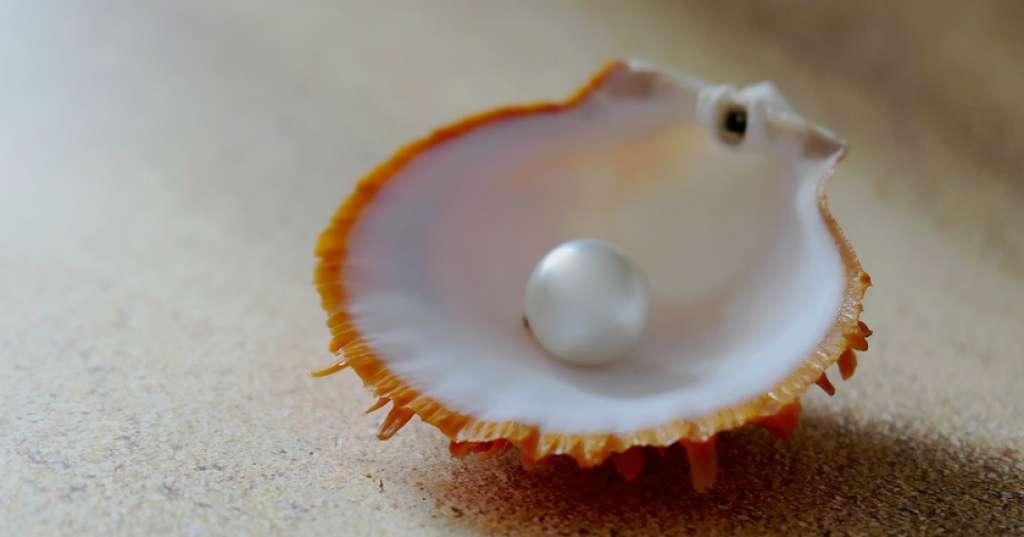 Mantap Jiwa! Pria Ini Temukan Mutiara Mahal dengan Cara Unik, Gigi Sampai Patah