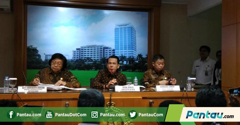 BPK: Freeport Gunakan Hutan Lindung Tanpa Izin Pinjam
