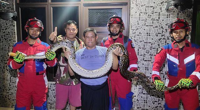 Ngeri! Warga Ciracas Tertimpa Ular 3,5 Meter dari Plafon Kamar Mandi