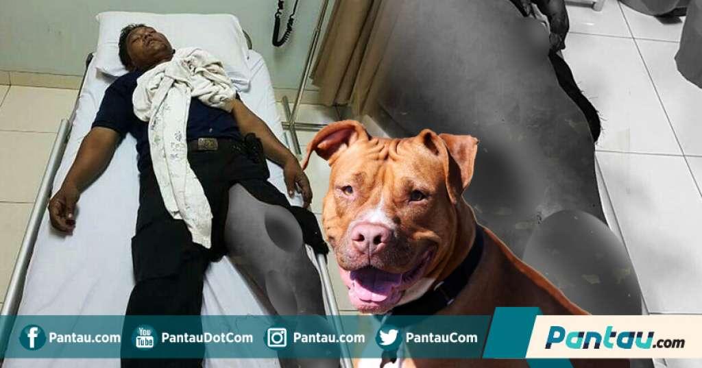 Kasus Anjing Serang Satpam Berlanjut, Sang Pemilik Dilaporkan ke Polisi