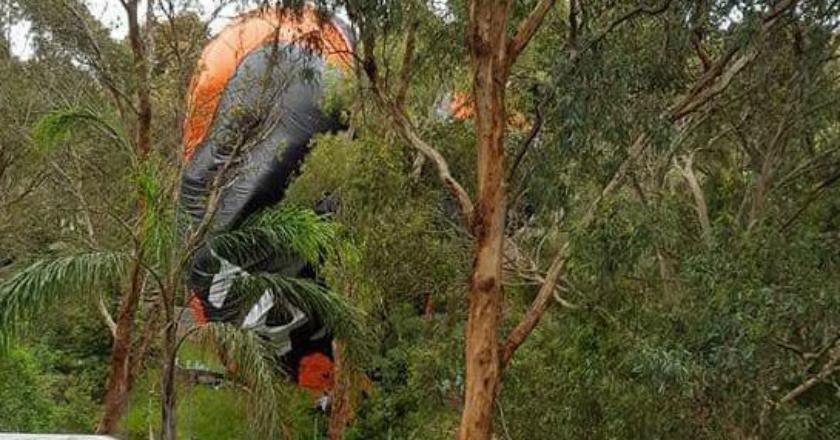 Gagal Romantis! Balon Udara Nyangkut di Pohon saat Pria Ini Lamar Kekasihnya