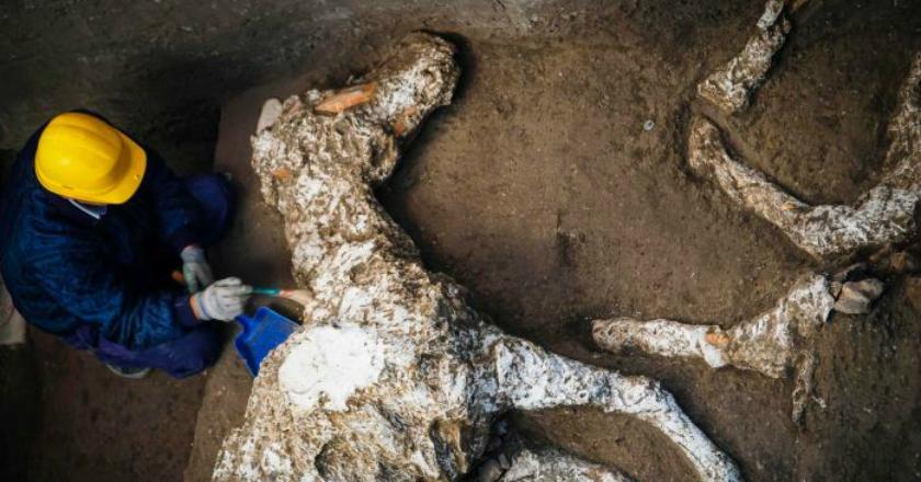 Arkeolog Temukan Kuda yang Membatu di Villa Kuno Pompeii
