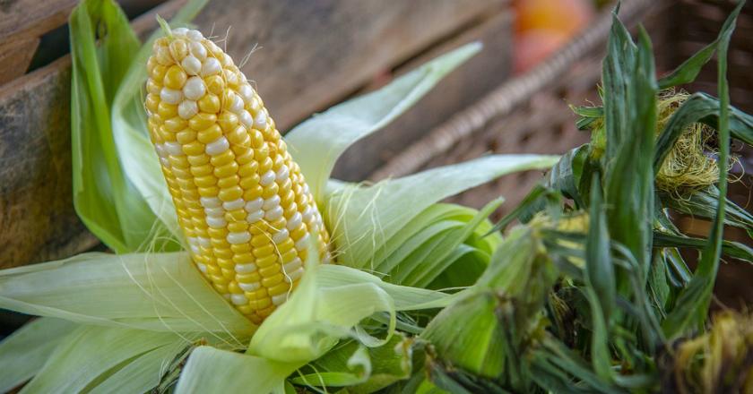 Jadi Primadona di Pergantian Tahun, Cek Harga Jagung dan Ikan Yuk