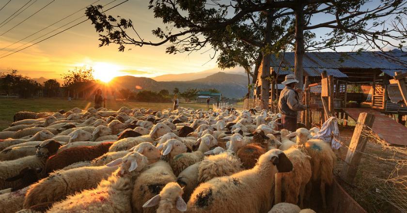 Mirip Orang Pas-pasan Indonesia, Polah Ini Justru Ciri Orang Kaya Amerika