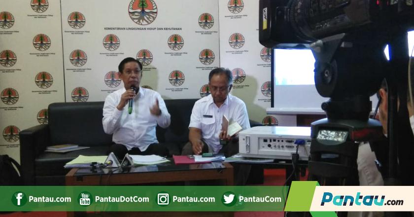 Meskipun Diakuisisi, Freeport Masih Punya PR di Tahun 2019
