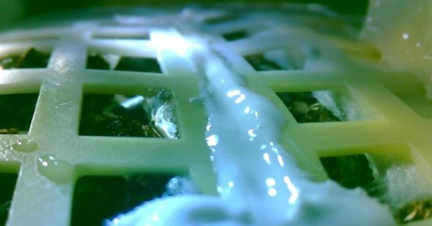 Tanaman Pertama China di Bulan Telah Layu dan Mati