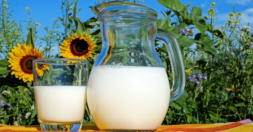 Kenapa Anak-anak Hingga Orang Dewasa Wajib Minum Susu?