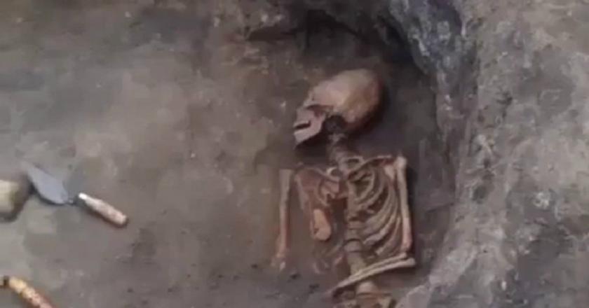 Kerangka dengan Bentuk 'Kepala Alien' Ditemukan di Selatan Rusia
