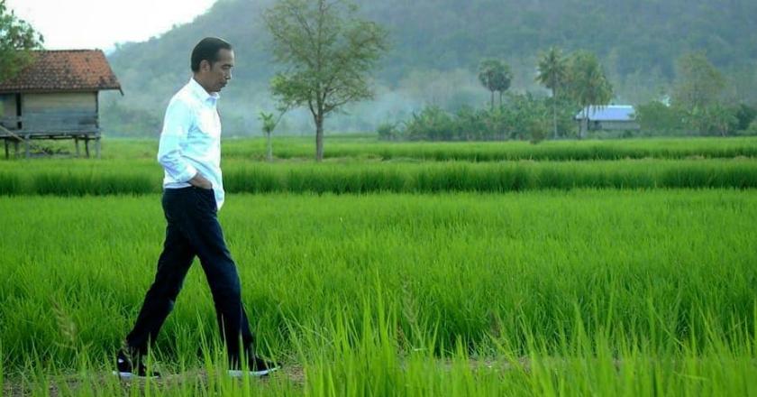 Alasan Pengusaha Larang Jokowi ke Pasar: Ini kan Masa Kampanye
