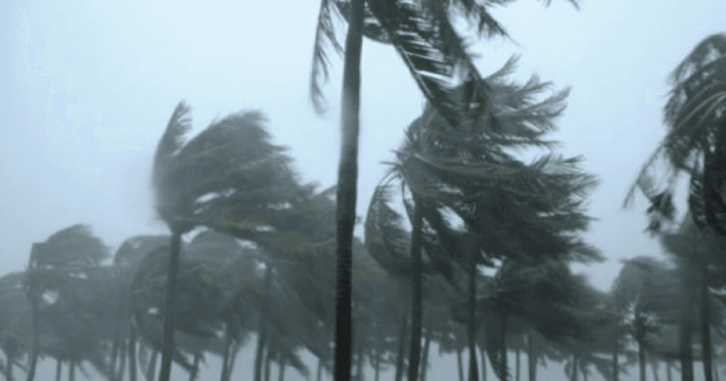 BMKG Prediksi Hari Ini Jakarta Bepotensi Hujan Lebat Disertai Angin Kencang