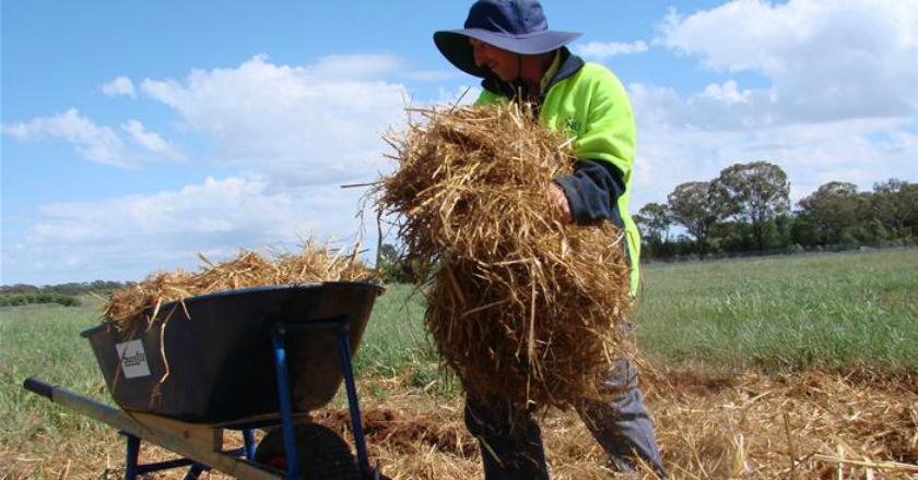 Minat Pindah ke Australia Utara? Pilih Daftar Visa atau Cari Kerja Dulu?