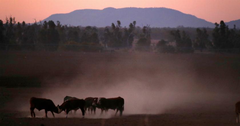 Gelombang Panas dan Kebakaran Hutan Hanguskan Kanada Timur
