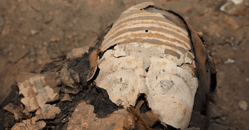 Arkeolog Mesir Temukan 50 Mumi, 12 di Antaranya Anak-anak