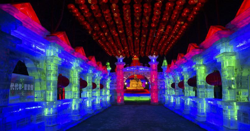 Festival Lentera Es China Jadi Kelam, Seorang Bocah Jatuh ke Penangkaran Panda