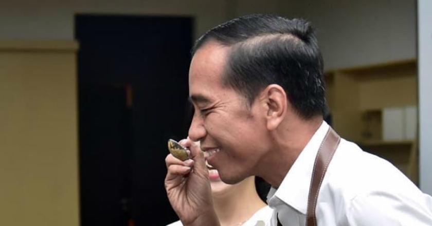 Dinobatkan Jadi Bapak Pariwisata oleh Pengusaha, Jokowi Malah Bilang Lucu