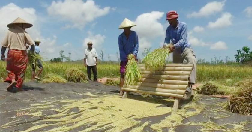 Tak Dirahasiakan, Ternyata Indonesia Bisa Stop Impor Pangan