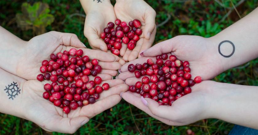 Khasiat 'Si Buah Merah' Cranberry untuk Kulit