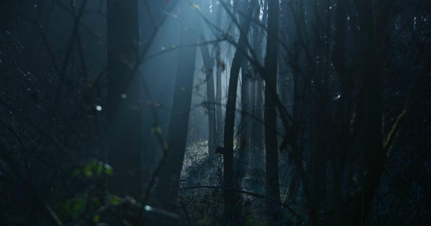 Horor! Asa Nasib Bocah 6 Tahun yang Tersesat di Hutan Belantara Rusia