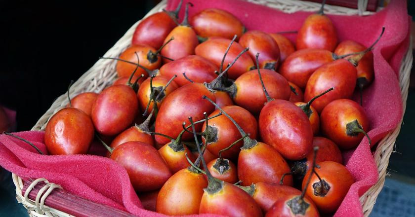 Selain Mampu Menurunkan Berat Badan, Ini Manfaat Lain Terong Belanda