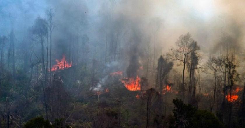 Kabut Asap Karhutla Selimuti Kota Dumai, 14.000 Masker Dibagikan