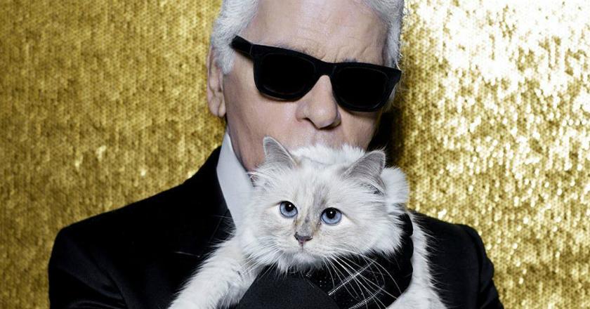 Mendapat Warisan Rp 2,7 Triliun, Begini Gaya Hidup Choupette Kucing Kesayangan Karl Lagerfeld