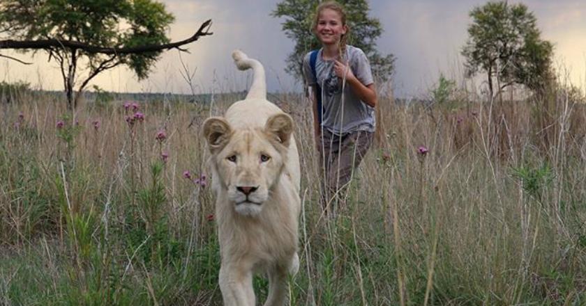 'Mia and the White Lion' Hadirkan Singa Asli Bernama Thor