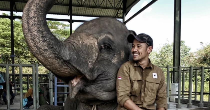 Chicco Jerikho Ajak Masyarakat Stop Bunuh Gajah