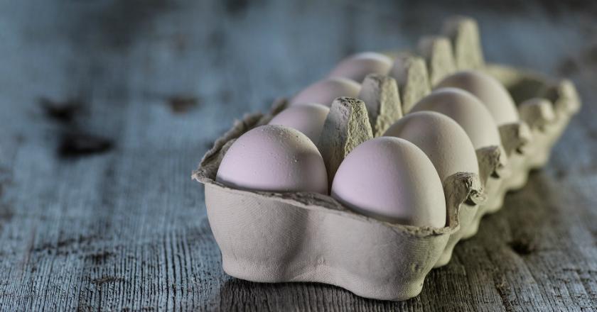 Waspada! Jutaan Telur Terinfeksi Bakteri Salmonella